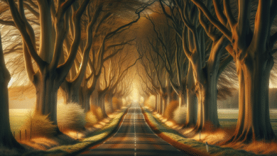 350 Bäume: Landkreise Osnabrück und Vechta schließen Alleen-Lücken